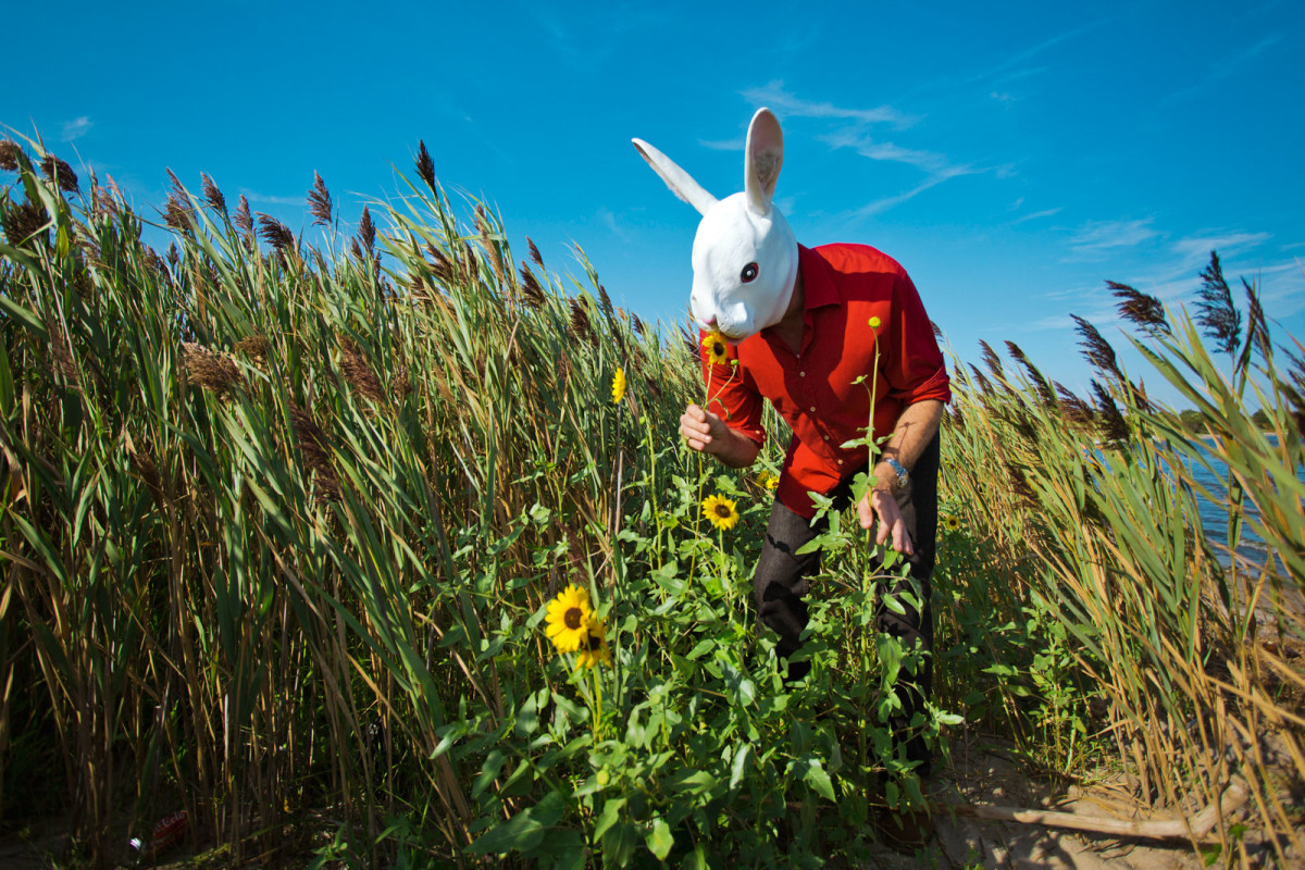 Rabbit smells the flowers