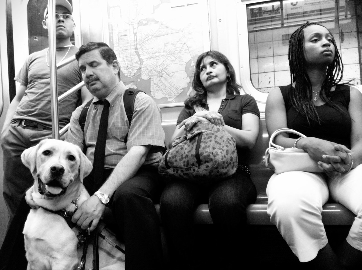 In This Inhuman World, No One Will Love You Like a Dog Will