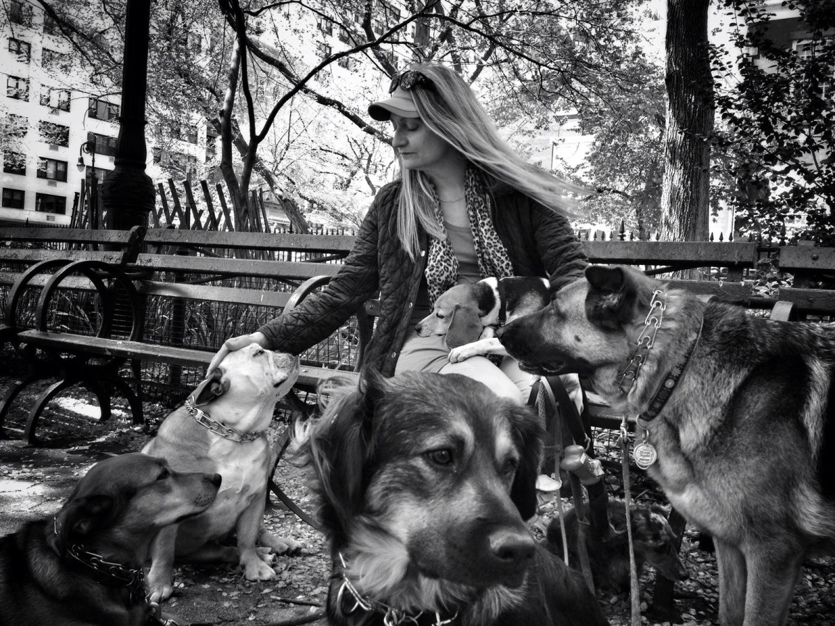The Dog Whisperer