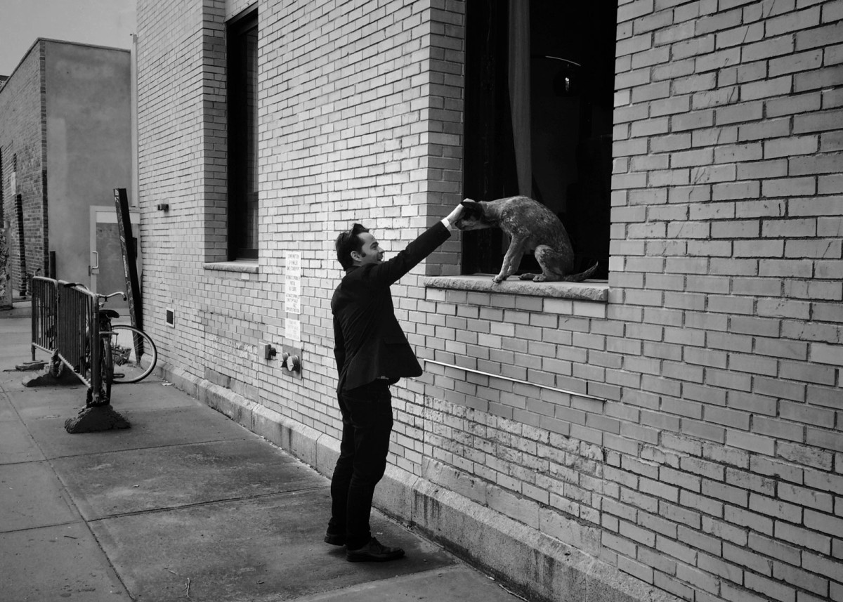 The Taming Hand