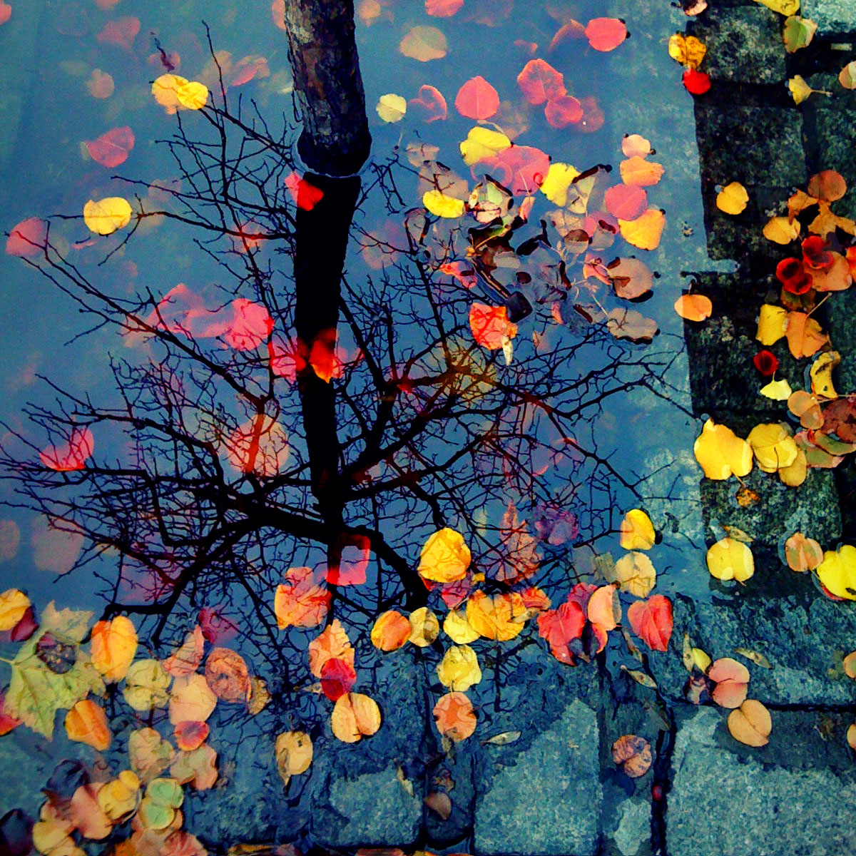 PublishedHeader