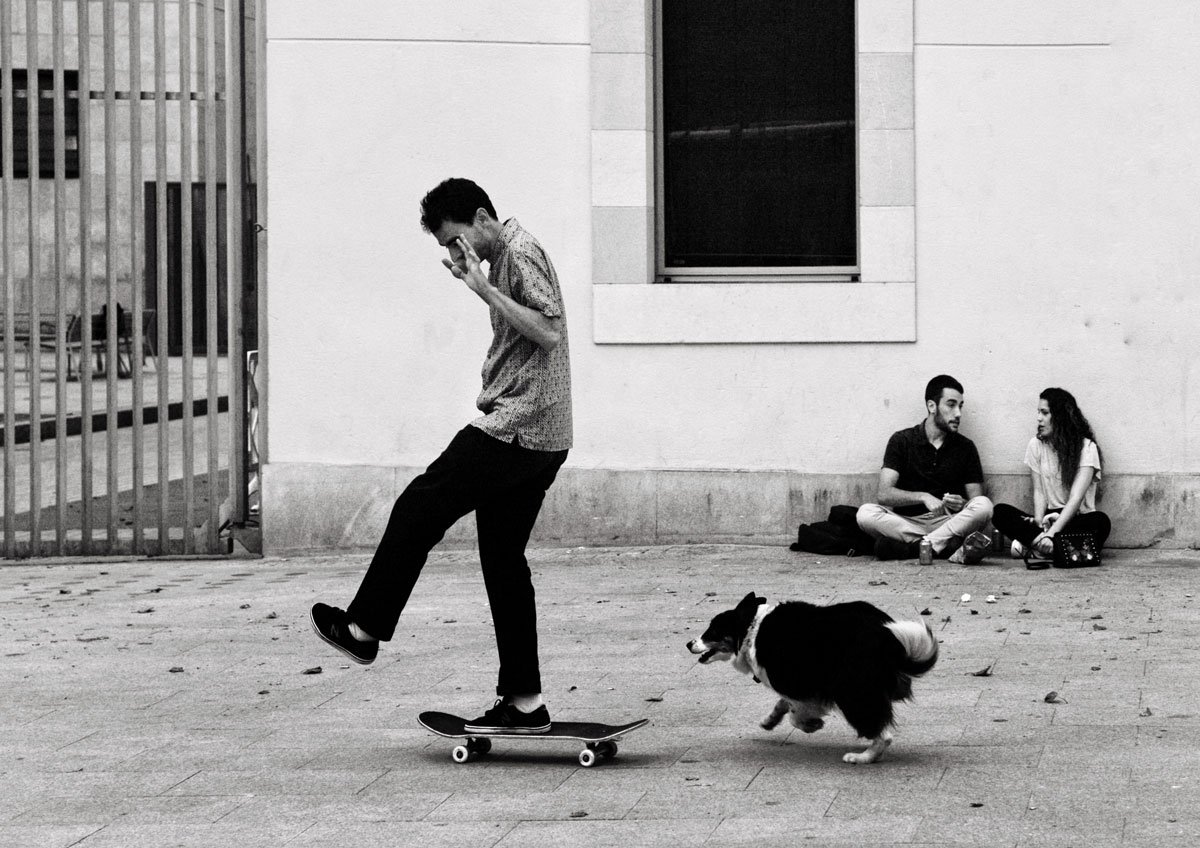 The-Dog-Who-Didn’t-Like-Wheels