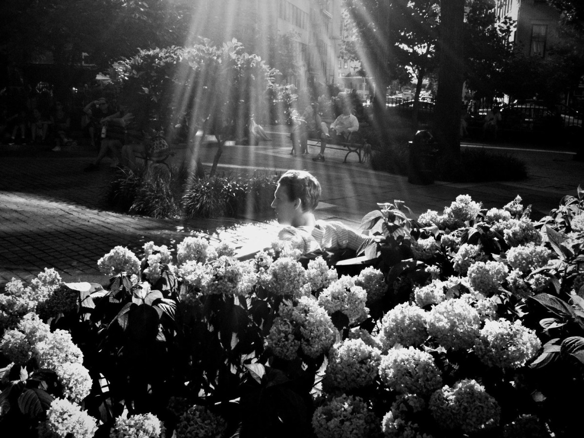 Beauty Among the Flowers