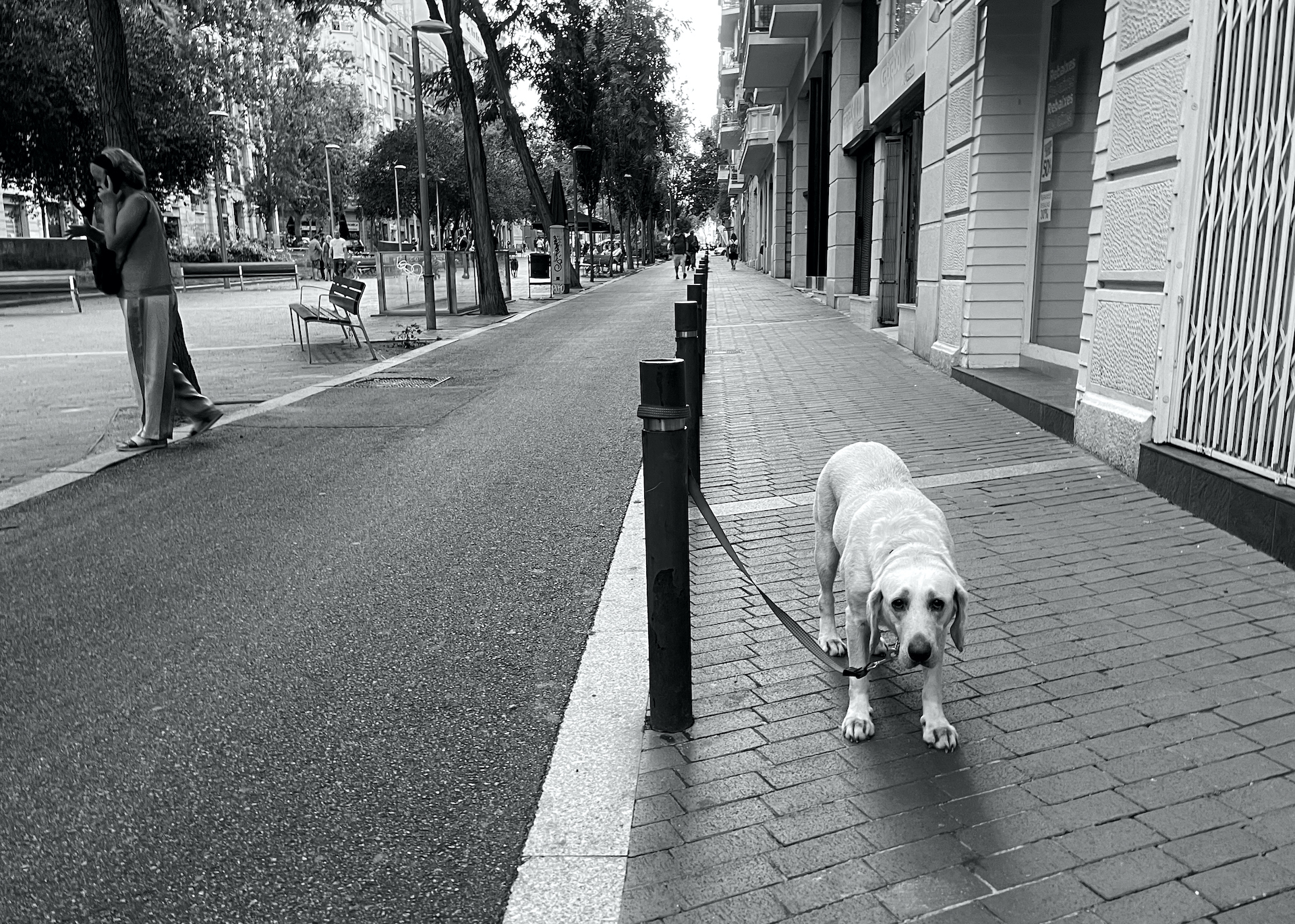 Left Outside Barcelona