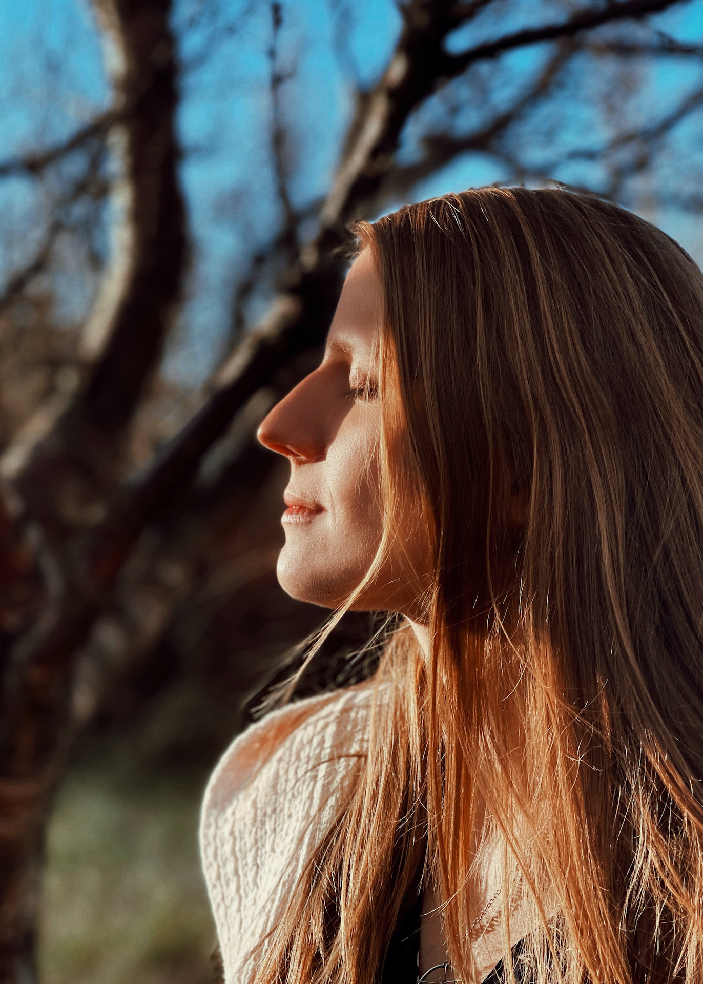 Marketa Iceland ("My Roots Go Deep")