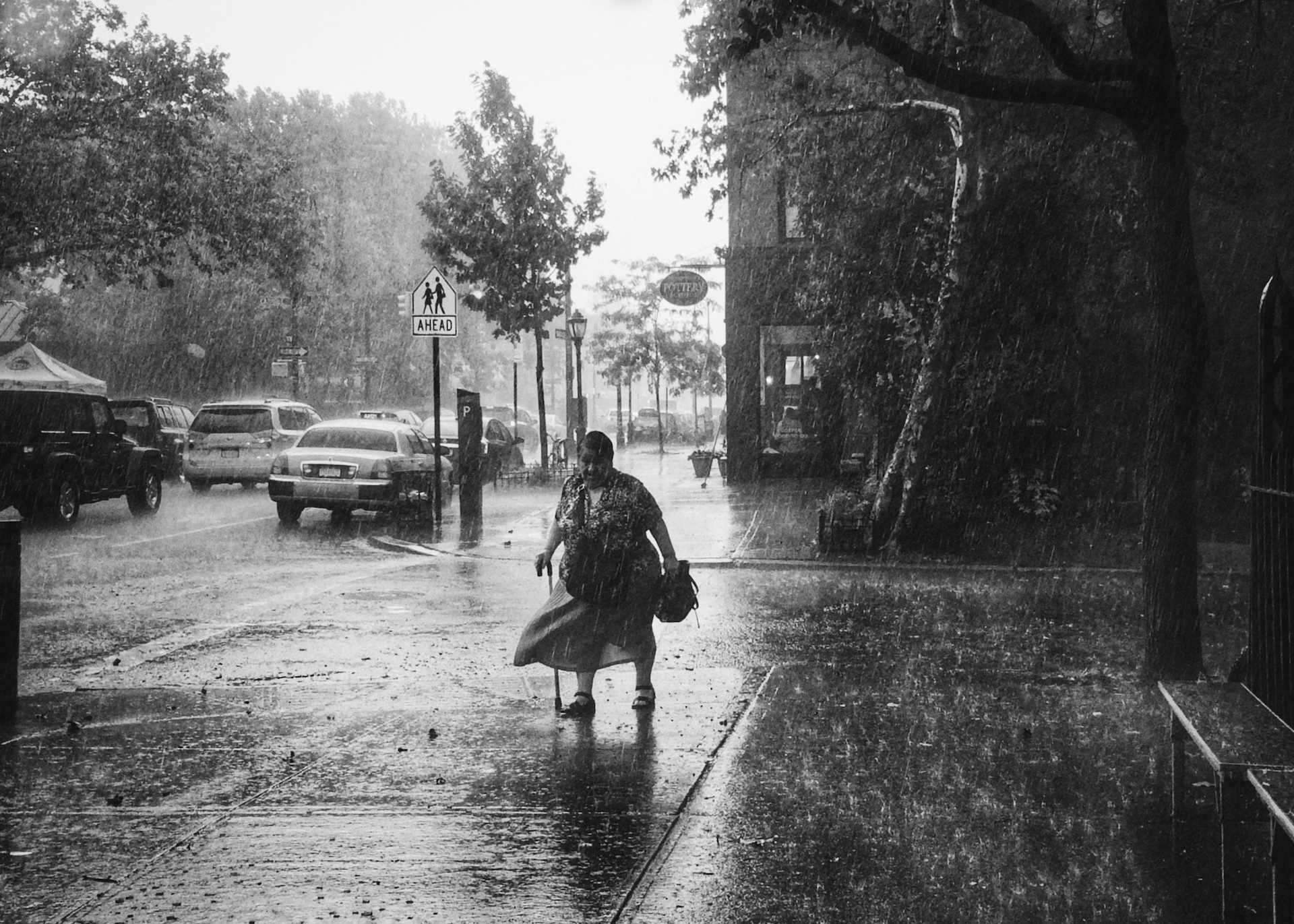 Summer Rain