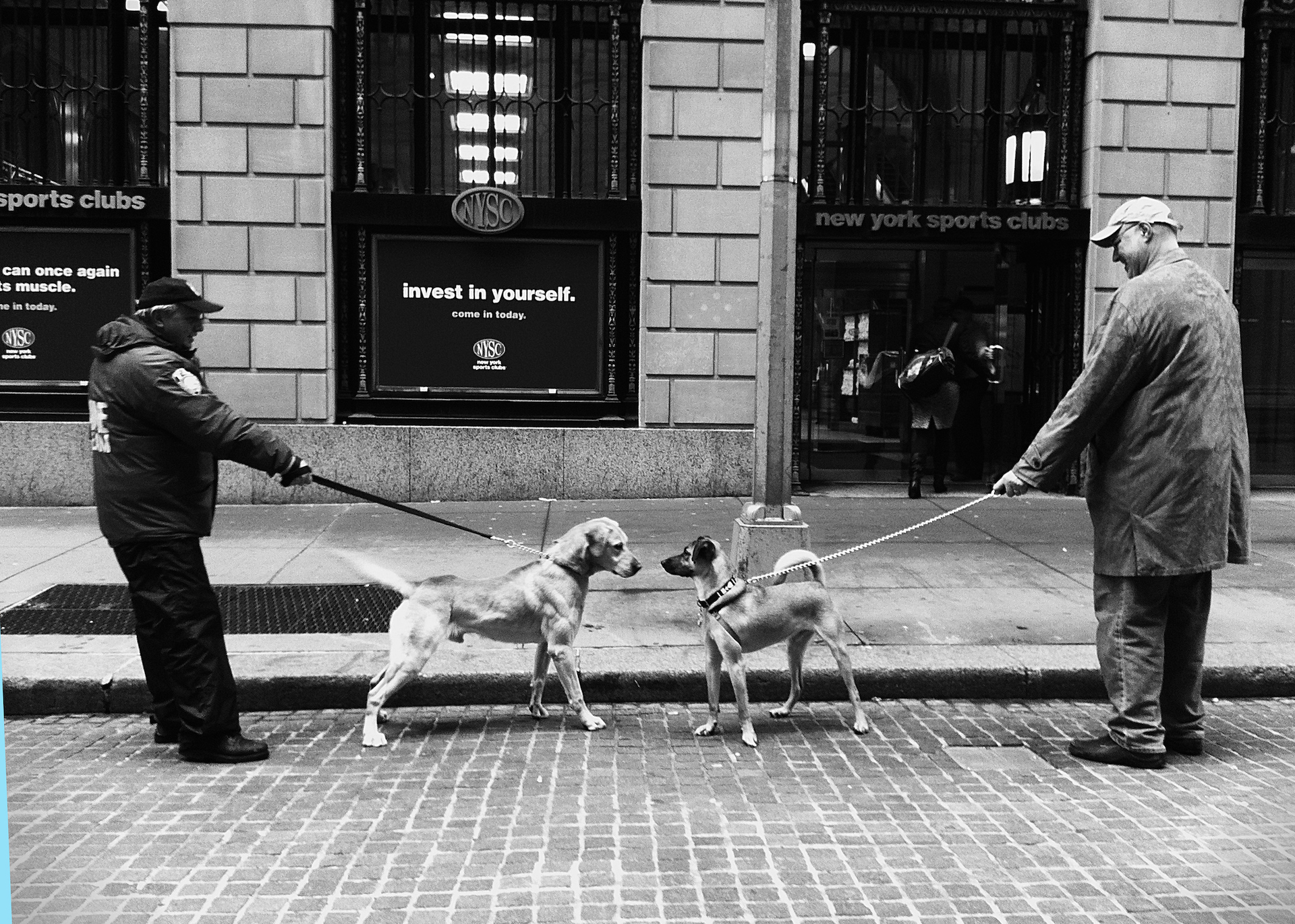 The Dog Meet Up